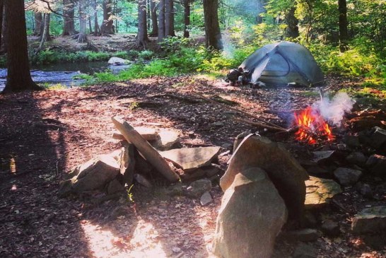 What Food to Consider while doing Family Camping & Hiking