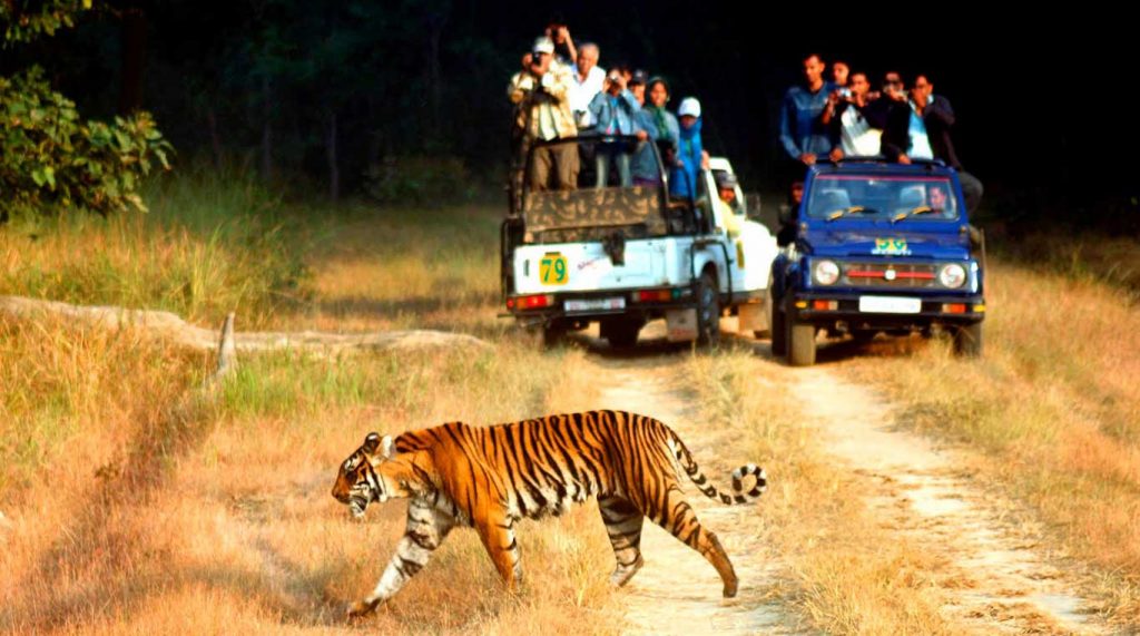Jim-Corbett-National-Park