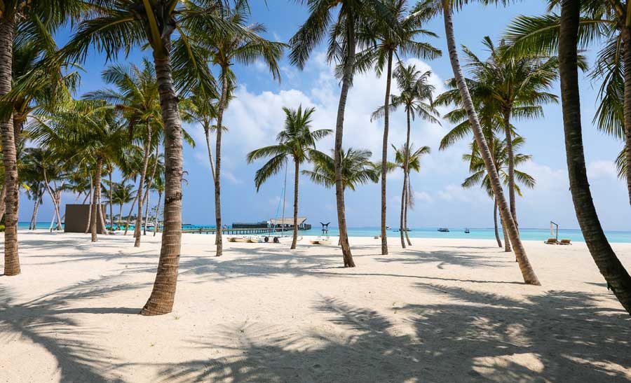 things-to-do-in-west-palm-beach